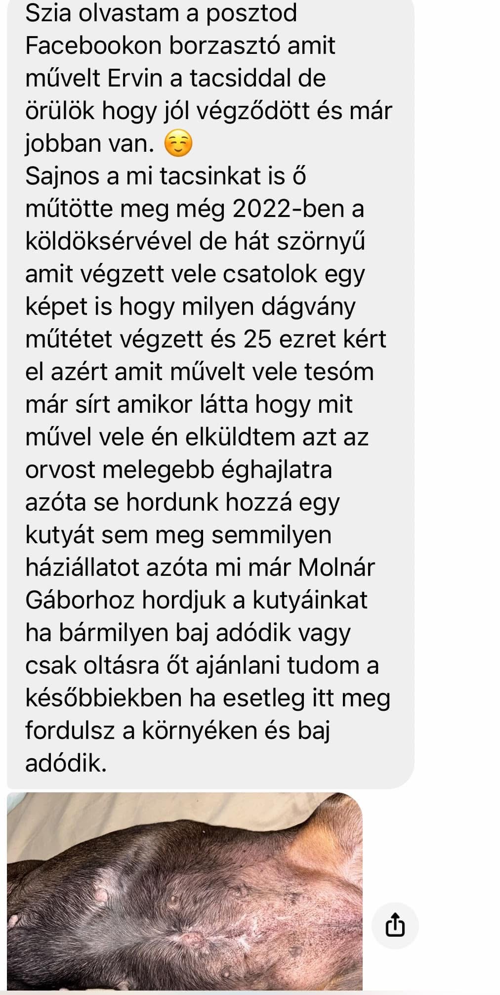 Dr. Szabó Ervin mátészalkai mészáros “állatorvos”