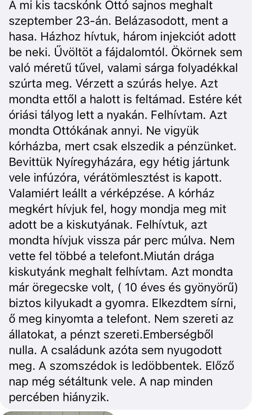 Dr. Szabó Ervin állatorvos Mátészalka-károsultjai