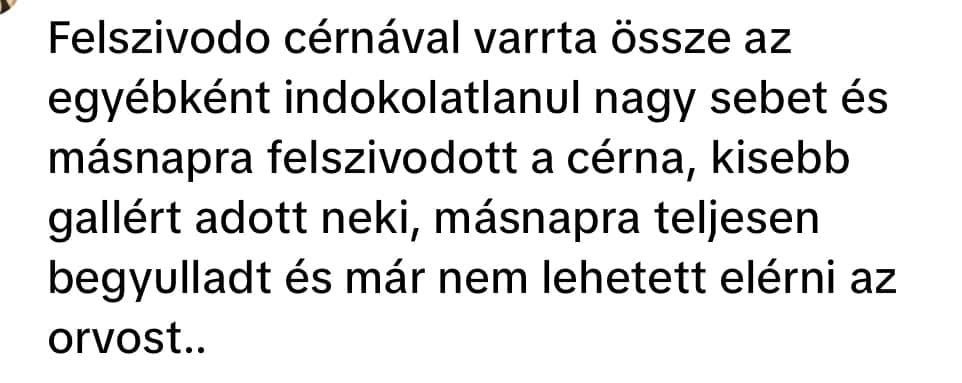 Dr. Szabó Ervin Mátészalka, állatorvos