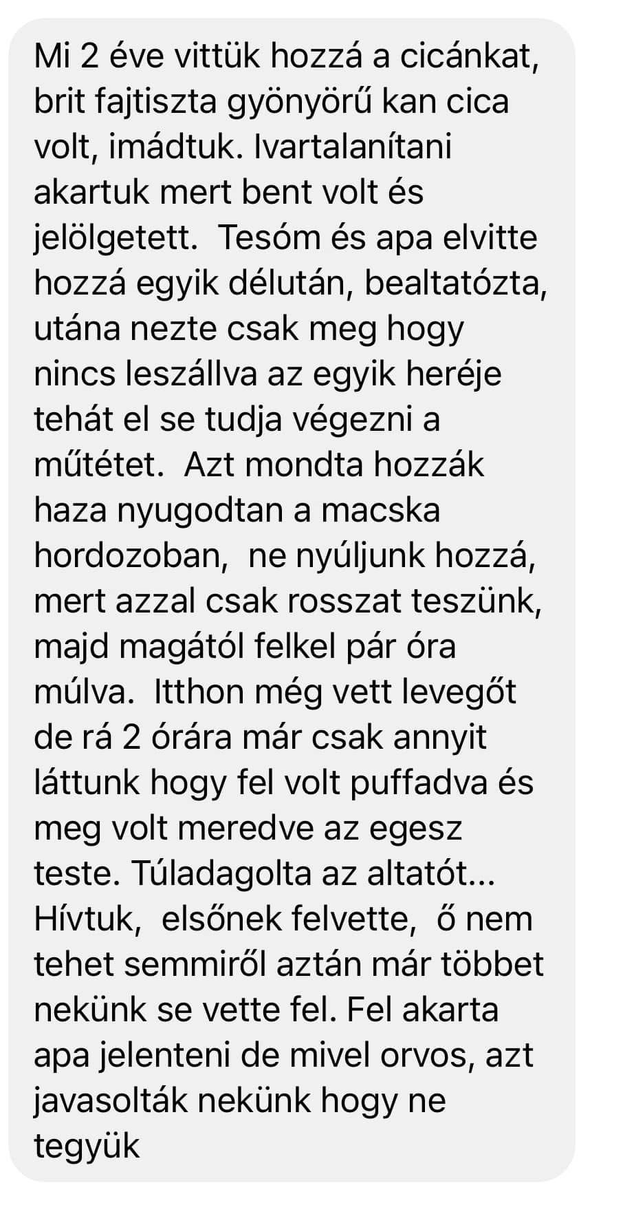 Dr. Szabó Ervin állatkínzási ügye